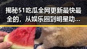 揭秘51吃瓜全网更新最快最全的，从娱乐圈到明星动态的第一手信息